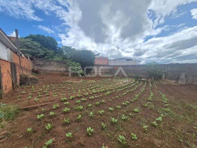 Terreno / Lote para Venda em São Carlos/SP Cidade Aracy