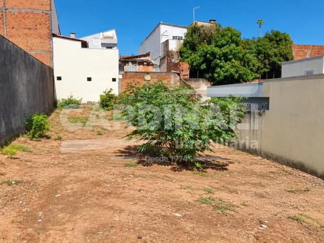 Terreno / Lote para Venda em São Carlos/SP Cidade Aracy