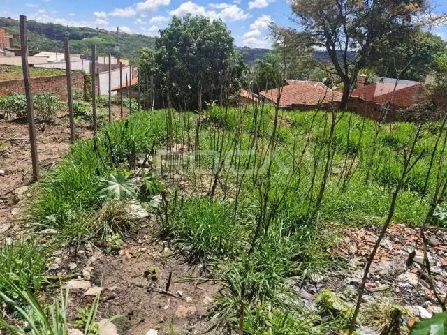 Terreno / Lote para Venda em São Carlos/SP Cidade Aracy