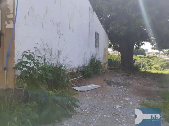 Terreno / Lote para Venda em São Carlos/SP Cidade Jardim
