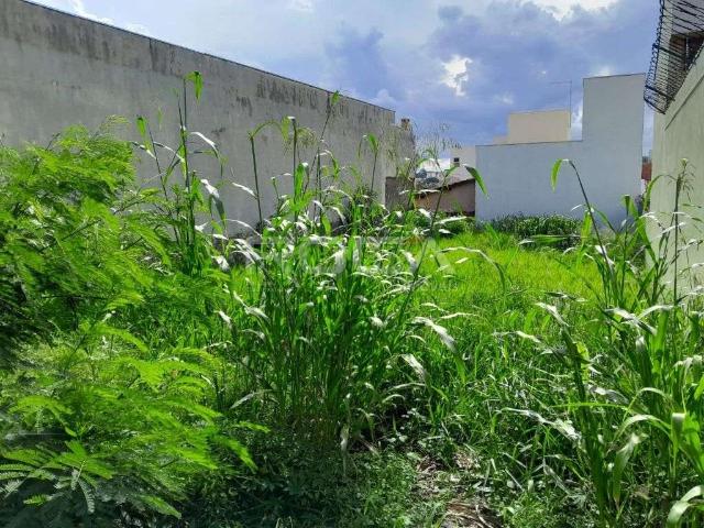 Terreno / Lote para Venda em São Carlos/SP Cidade Jardim