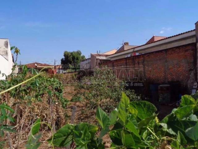 Terreno / Lote para Venda em São Carlos/SP Jardim Munique
