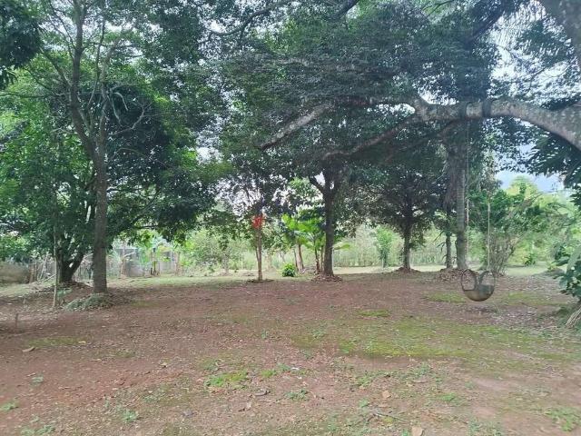 Terreno / Lote para Venda em São Carlos/SP Jardim Novo Horizonte