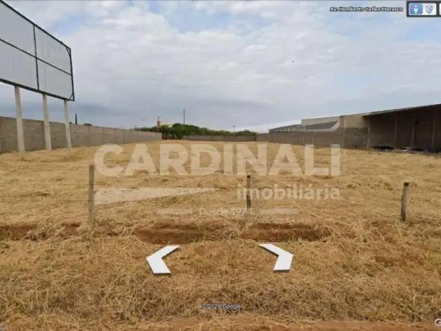 Terreno / Lote para Venda em São Carlos/SP Jardim Araucária