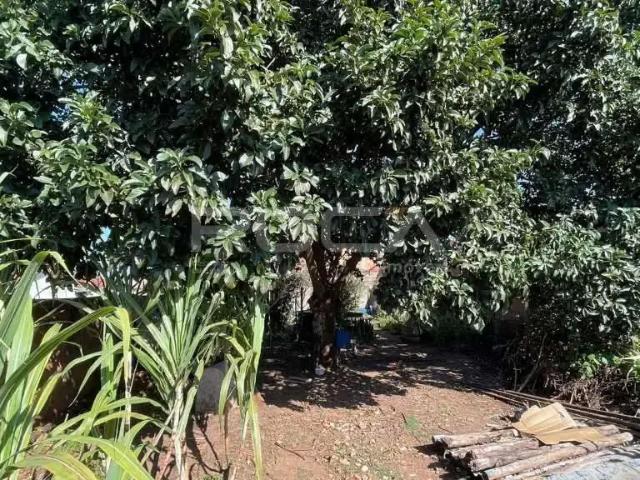 Terreno / Lote para Venda em São Carlos/SP Jardim Beatriz