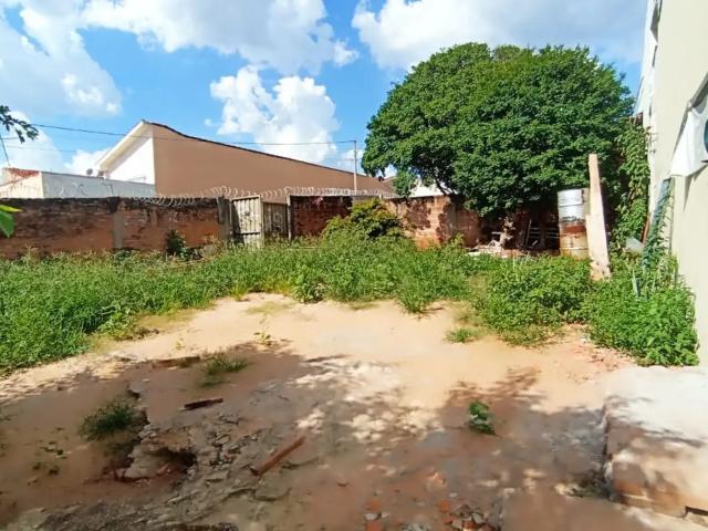 Terreno / Lote para Venda em São Carlos/SP Jardim Beatriz
