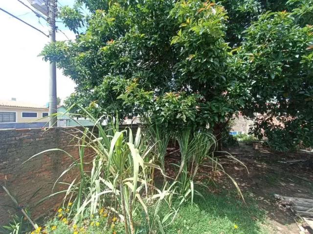 Terreno / Lote para Venda em São Carlos/SP Jardim Beatriz