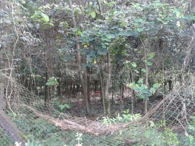 Terreno / Lote para Venda em São Carlos/SP Jardim Embaré