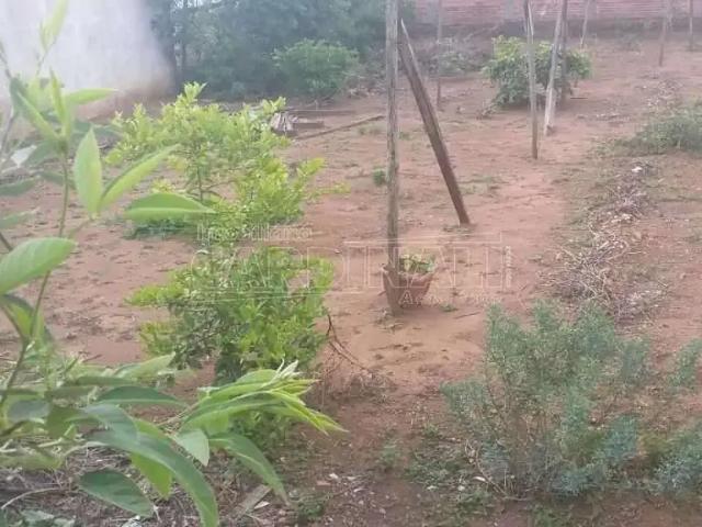 Terreno / Lote para Venda em São Carlos/SP Jardim Ipanema