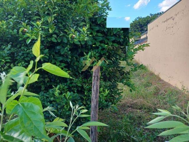 Terreno / Lote para Venda em São Carlos/SP Jardim Ipanema