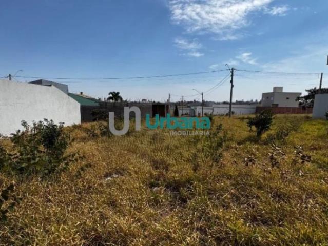 Terreno / Lote para Venda em São Carlos/SP Jardim Letícia