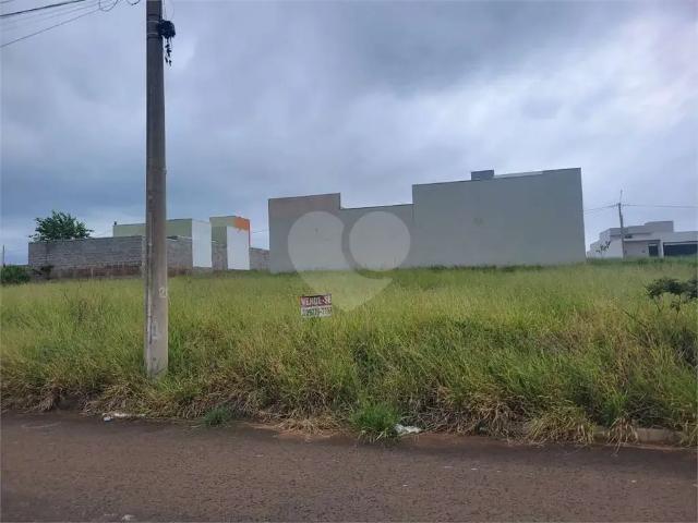 Terreno / Lote para Venda em São Carlos/SP Jardim Letícia