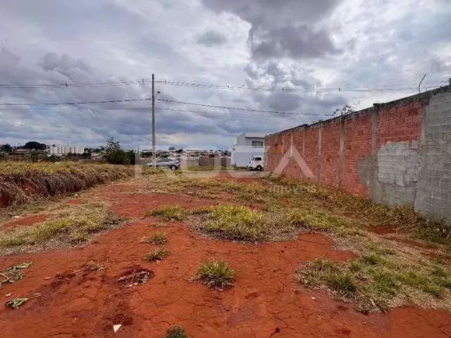 Terreno / Lote para Venda em São Carlos/SP Jardim Letícia