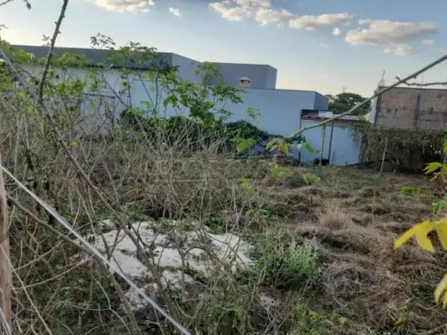 Terreno / Lote para Venda em São Carlos/SP Jardim Santa Elisa