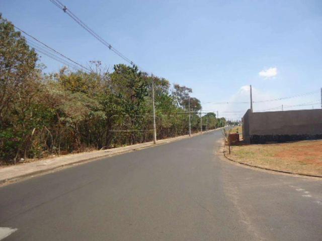 Terreno / Lote para Venda em São Carlos/SP Jardim Santa Júlia