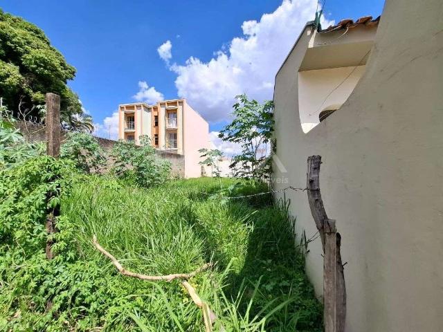 Terreno / Lote para Venda em São Carlos/SP Jardim Santa Paula