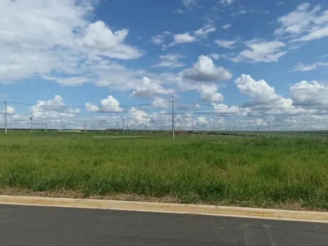 Terreno / Lote para Venda em São Carlos/SP Jardins do Porto