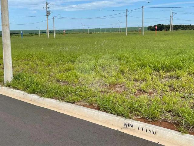 Terreno / Lote para Venda em São Carlos/SP Jardins do Porto