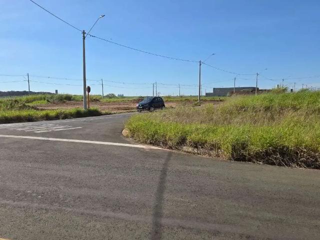 Terreno / Lote para Venda em São Carlos/SP Jardins do Porto