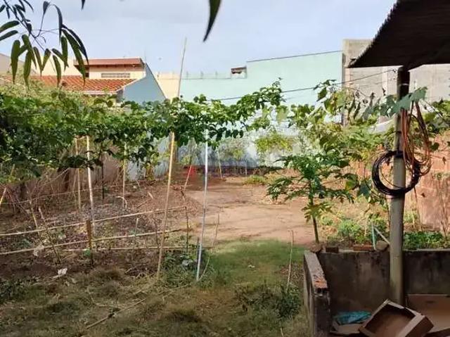 Terreno / Lote para Venda em São Carlos/SP Loteamento Habitacional São Carlos 1