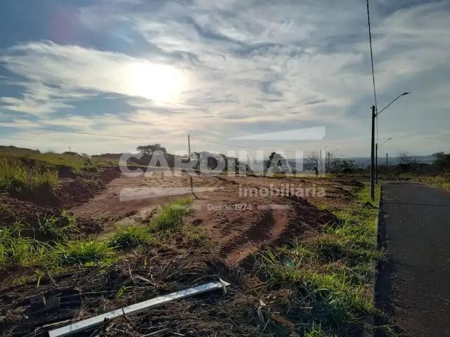 Terreno / Lote para Venda em São Carlos/SP Loteamento Jardim Vista Alegre