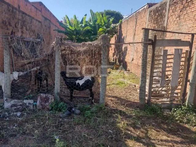 Terreno / Lote para Venda em São Carlos/SP Loteamento Social Antenor Garcia