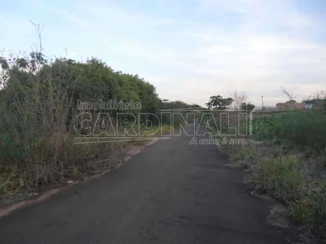 Terreno / Lote para Venda em São Carlos/SP Parque Belvedere