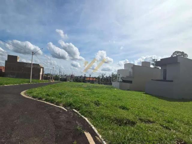 Terreno / Lote para Venda em São Carlos/SP Parque dos Timburis