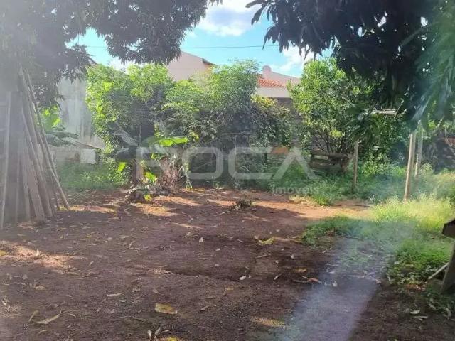 Terreno / Lote para Venda em São Carlos/SP Parque Fehr