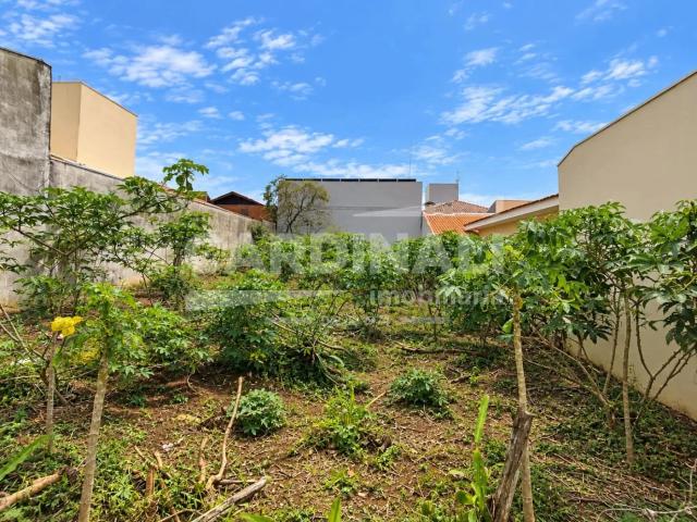 Terreno / Lote para Venda em São Carlos/SP Parque Fehr