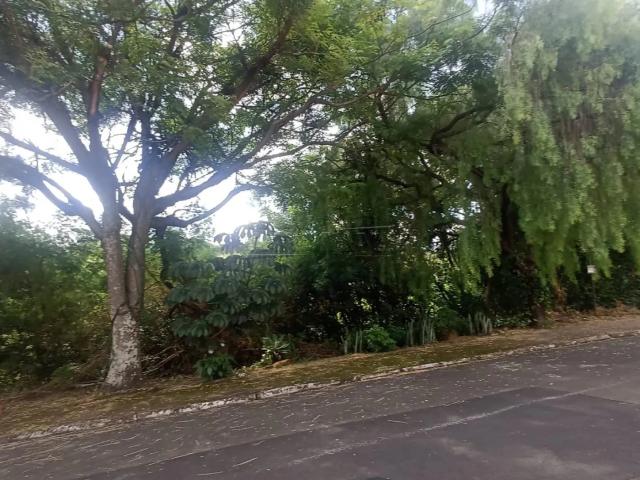 Terreno / Lote para Venda em São Carlos/SP Parque Santa Mônica