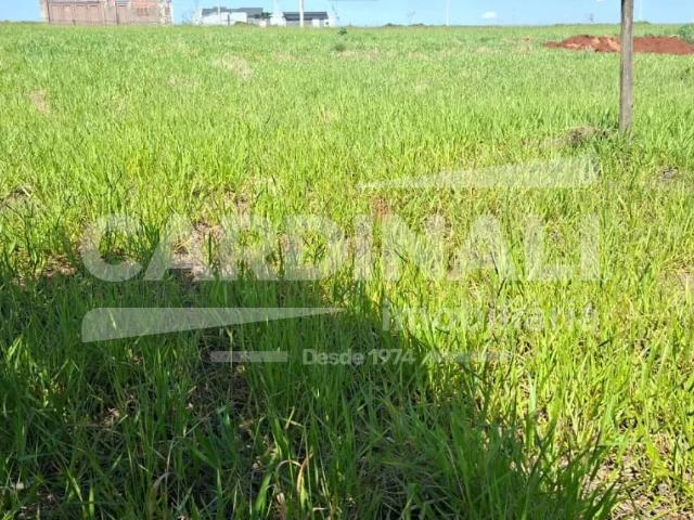 Terreno / Lote para Venda em São Carlos/SP Residencial Salto do Monjolinho
