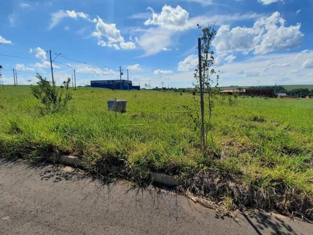 Terreno / Lote para Venda em São Carlos/SP Residencial Salto do Monjolinho