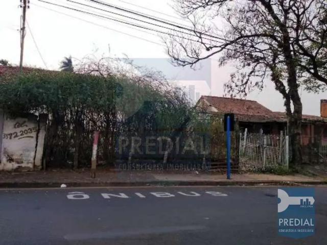 Terreno / Lote para Venda em São Carlos/SP Vila Vista Alegre