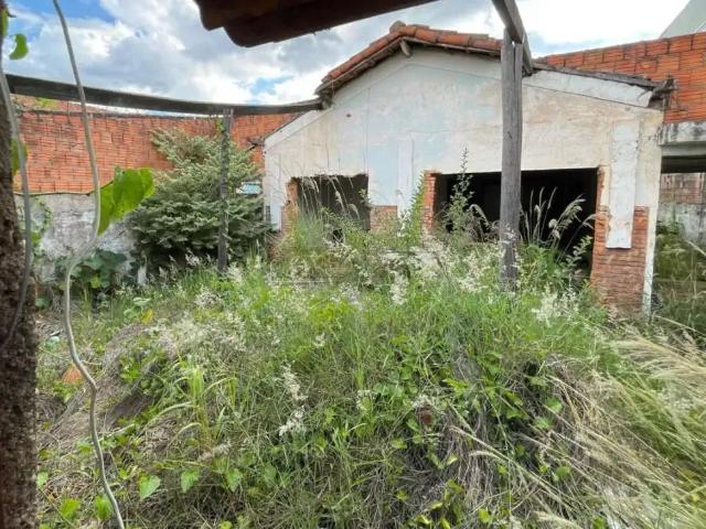 Terreno / Lote para Venda em São Carlos/SP Vila Boa Vista 1