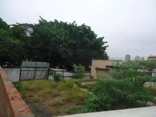 Terreno / Lote para Venda em São Carlos/SP Centro