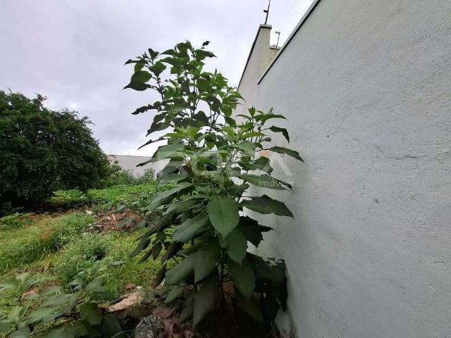 Terreno / Lote para Venda em São Carlos/SP Vila Nossa Senhora de Fátima