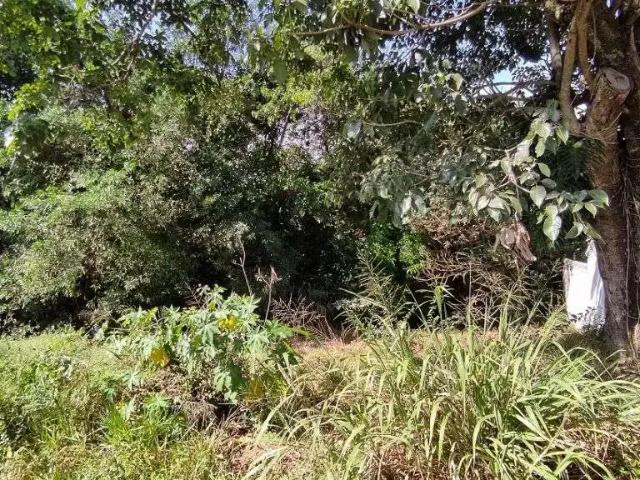 Terreno / Lote para Venda em São Carlos/SP Vila Rancho Velho
