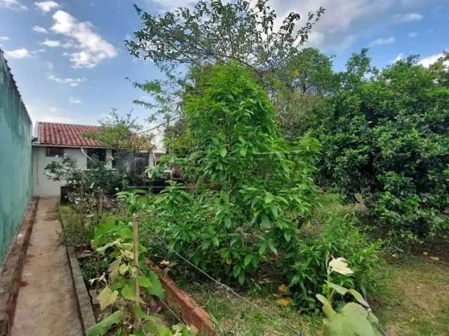 Terreno / Lote para Venda em São Carlos/SP Vila Santa Madre Cabrini