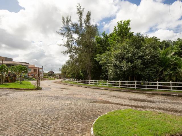 Terreno / Lote para Venda em São Cristóvão/SE Centro