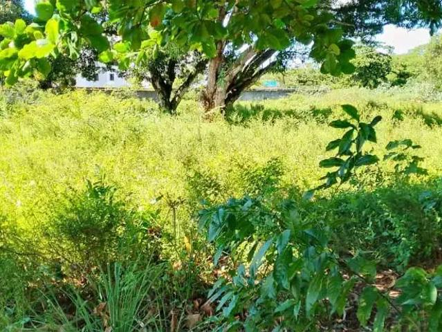 Terreno / Lote para Venda em São Cristóvão/SE Eduardo Gomes