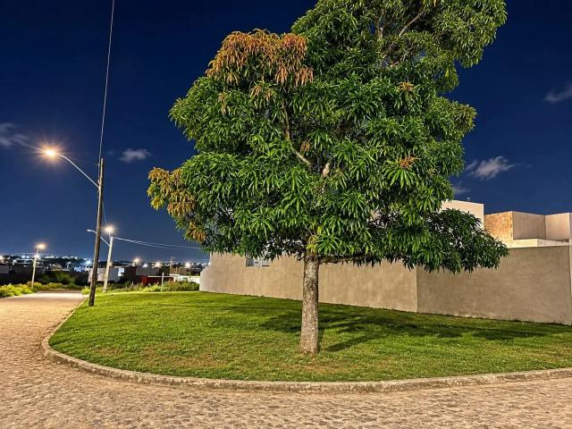 Terreno / Lote para Venda em São Cristóvão/SE Madre Paulina