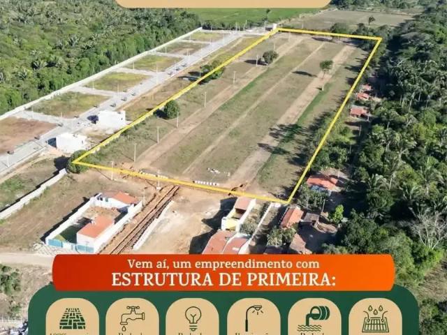 Terreno / Lote para Venda em São Benedito/CE Centro
