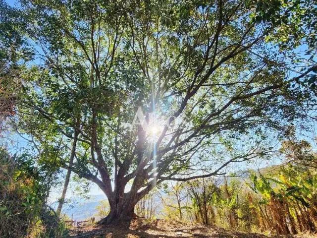 Terreno / Lote para Venda em São Bento do Sapucaí/SP Baú