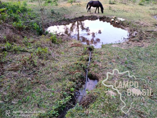 Terreno / Lote para Venda em São Bento do Sapucaí/SP Centro