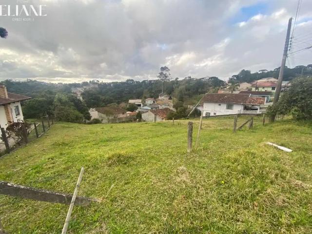 Terreno / Lote para Venda em São Bento do Sul/SC 25 de Julho