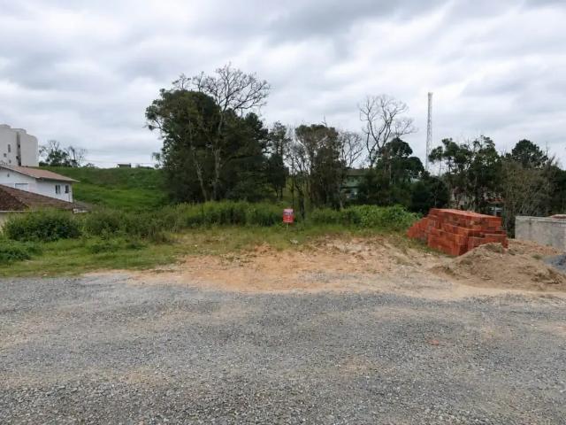 Terreno / Lote para Venda em São Bento do Sul/SC 25 de Julho