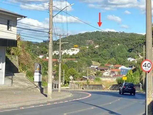 Terreno / Lote para Venda em São Bento do Sul/SC Centenário