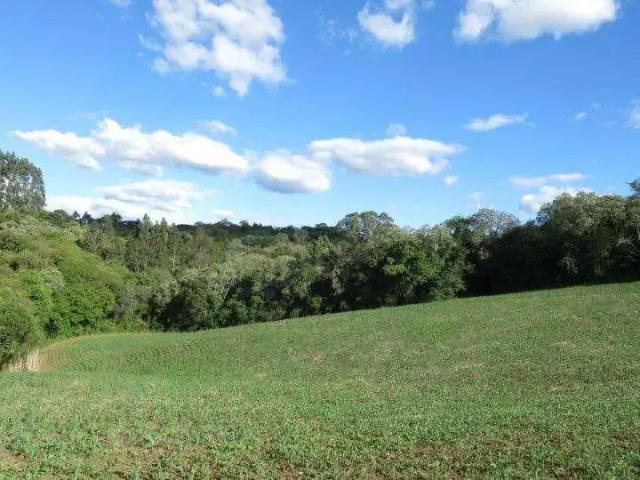 Terreno / Lote para Venda em São Bento do Sul/SC Centenário