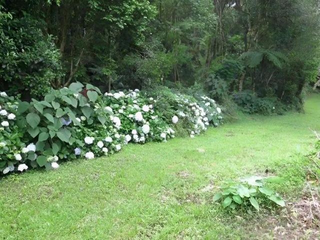 Terreno / Lote para Venda em São Bento do Sul/SC Centro
